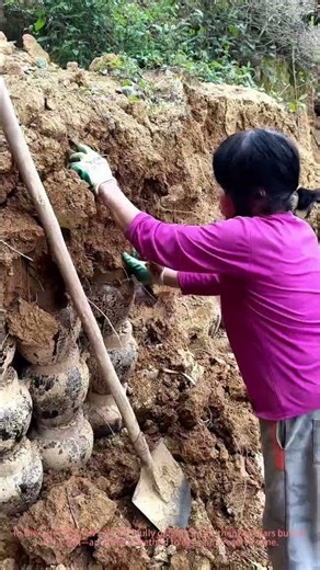 Ancient Wine Cellar Dig! Uncovering Buried Jars of Traditional Wine