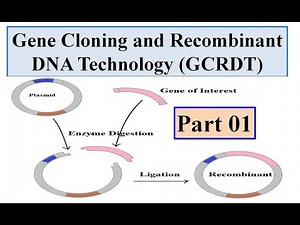 Gene cloning and Recombinant DNA technology (DCRDT) Introduction