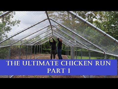 The Ultimate Chicken Run: Part 1 Choosing a Space & Run