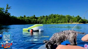 38 reactions | ❄️ Tired of winter already? Dreaming of sunny days on...