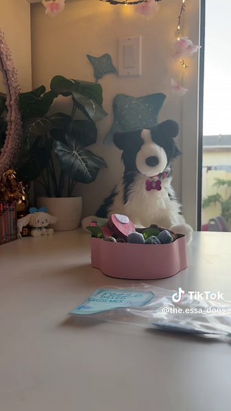 More feeding videos since u guys seem to enjoy them! I was on a call w my friend gabby the whole time 😭 #essa #essadog #essastuffedanimal #essadogplushie #essastuffedanimalcommunity #essadogs #fypシ゚viral #dogfeeding