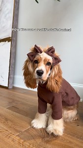 🧸🧸🧸 or Maple? Outfit from @thelil.co 🤎code MAPLEOREO to save #cockerspaniel #cockerspanielpuppy #dogsofinstagram #puppy #englishcockerspaniel #cutepuppy #dogs #spaniel | Oreoloveslola