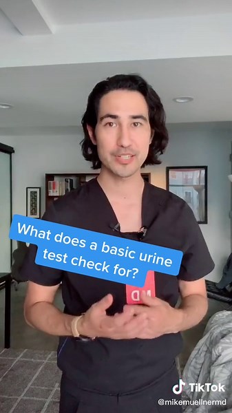 Understanding a Urine Test: What Does It Check For?