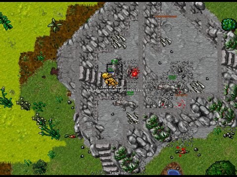 TIBIA | TARIK ROOKER - LVL 139 50k HORA - ROTA DO REI EM ROOKGAARD
