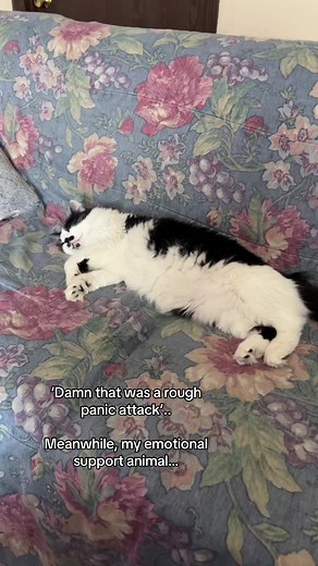 Understanding the Role of Emotional Support Animals