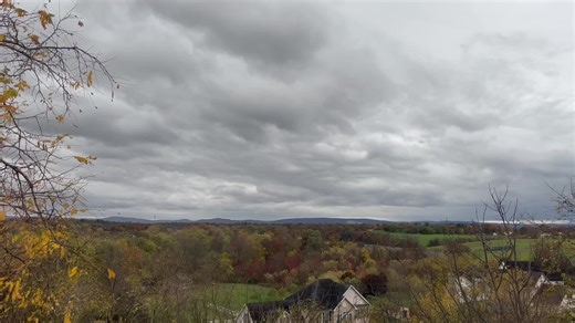 A-One (@lil_vamara)’s videos with FALL SEASON - Cole Starling