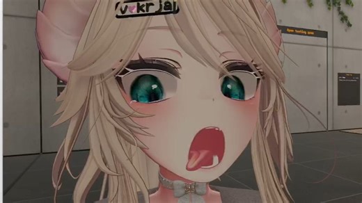 Paper二代 眼追&面部套件测试前瞻