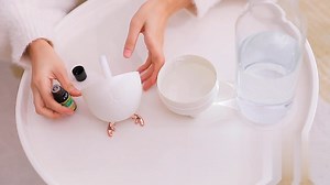 Watch Cat Humidifiers with Night Led on Amazon Live