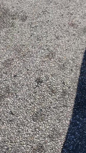 I am , top flight magneto......saving a flat tire, one puncture at a time.....😎 | Craig Smiley