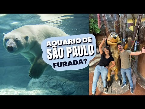 AQUARIO DE SÃO PAULO, VALE A PENA, QUANTO GASTA, ATRAÇÕES