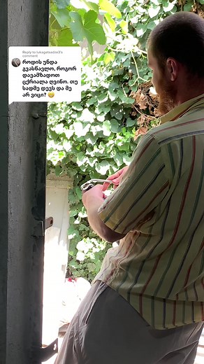 georgianwinemaker on TikTok