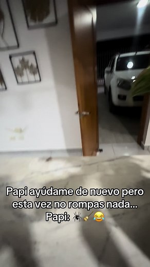 Papi no tiene arreglo 😂😂😂#tendencia #arañasgigantes #fyp #cacata #casa #mvp #tiktok