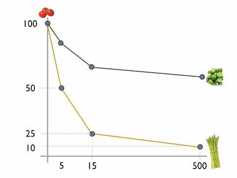 Budget Lines Indifference Curves Economics