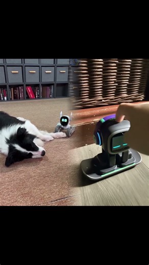 Loona is the perfect companion for your little one's adventures. #petrobot #keyitech