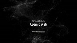The Network Behind the Cosmic Web | Nature–Design Triennial | Smithsonian Institution