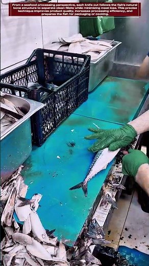 How Expert Workers Fillet Fish With Fast and Precise Knife Skills