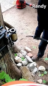 Maxed Out Rigging for One Extreme Hazard Tree 🌳 #asmr #tree | Guilty of treeson