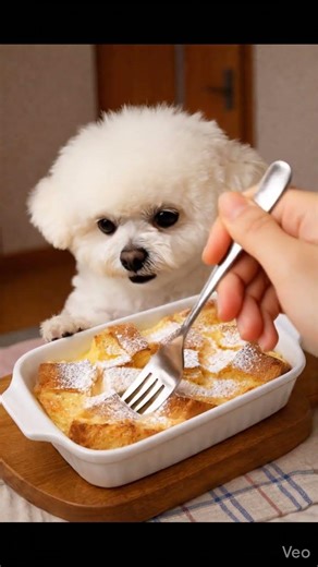 【ASMR】【Mukbang】Mimi Eats Bread Pudding 🍞🍮 | パンプディングモッパン