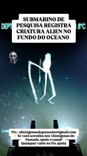 Lion Santos Nascimento on Instagram: "✨ Se você acredita nos Alienígenas do Passado, apoie o canal! Qualquer valor no Pix ajuda Pix : alienigenasdopassados@gmail.com #alienigena #pesquisa #oceano #extraterrestre #natal"