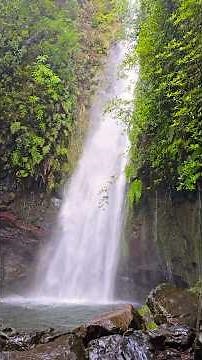 PR 6 - Levada das 25 Fontes. Madeira