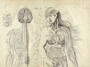 Godzilla Getting 'the Dick Drop' Is the Best YouTube Video