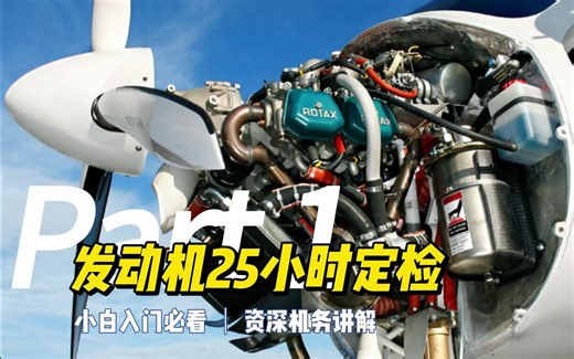 全网最详细的CTLS轻型运动飞机25小时定检教程