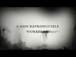 a reproducible workflow