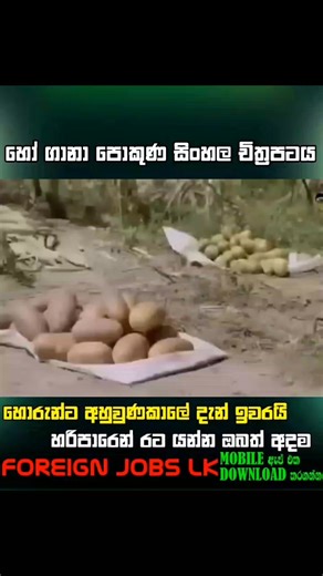 ‎හෝ ගානා පොකුණ | Ho Gana Pokuna Full HD Movie | Part 06 ‎. ‎. ‎. ‎. ‎. ‎. ‎. ‎. ‎. ‎. ‎. ‎. ‎. ‎. ‎. ‎. ‎. ‎. ‎. ‎ ‎සම්පූර්ණ අයිතිය මුල්හිමිකරුවන් සතුය...... ‎#foryou #viral #viralvideo ‎#viralfb #TopMovie #viral #view #trendingnow #trendingvideo #videos #viralpost #topvideo #viralreelsfb #viralshorts #viralreel #viralpostfb #viralpage #new #virals #viral #trending #fpyシ #foryoupage #trending #virel #1millionaudition #everyone #like #comment #share ‎ | 𝐒𝐢𝐧𝐡𝐚𝐥𝐚 𝐌𝐨𝐯𝐢𝐞 𝐂𝐥𝐢𝐩𝐬