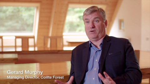 Forestry - Coillte