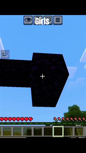 girls vs boys Minecraft pt1