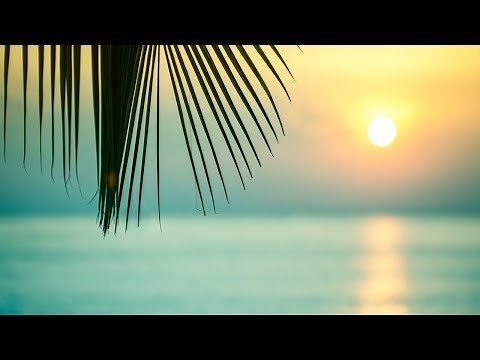 [Working BGM] Fashionable and comfortable surf system EDM medley 20 songs