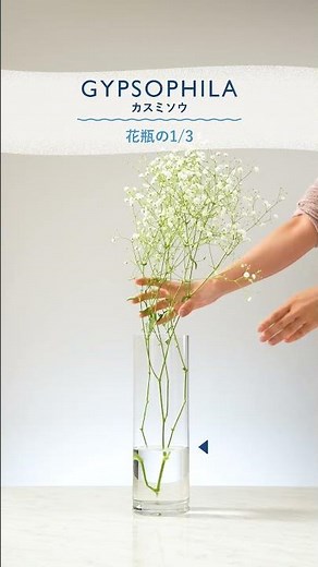 Did you know? How much water each flower needs 💧✨ #HanaCupid