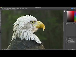 How to Enlarge Photos in Photoshop Without Losing Quality Using ON1 Resize AI