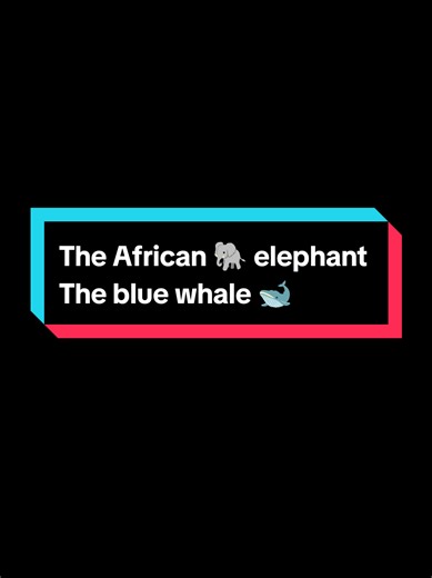 Explore the African Elephant and Blue Whale