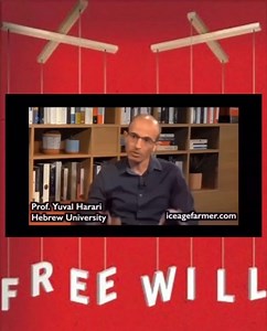 2.8K views · 90 reactions | #freewill #mindcontrol | Perplexed Perspectives | Facebook