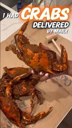 I Had Maryland Blue Crabs Delivered by Mail! 🦀 | CrabPlace.com Unboxing & Review