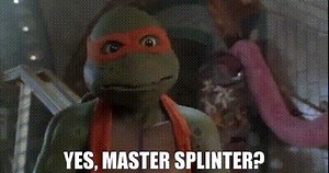 Yes, Master Splinter?