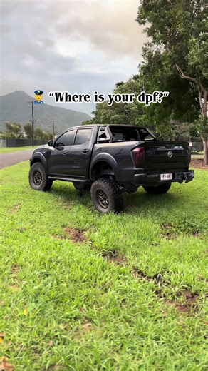 Exploring DPF Issues in NP300 Vehicles