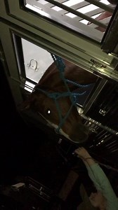 7.7K views · 644 reactions | Very Proud. Very proud of Charley winning the buckle series in the 1D in the barrel racing. It is special because she did all the training her self. Bloomer Trailers Total Feeds, Inc. 5 Star Equine Products Durham Trailer Ranch Resistol RideSafe LUCERNE FARMS Quality Forage Feed Products Triangle C Ranch | Chris Cox Horsemanship | Facebook