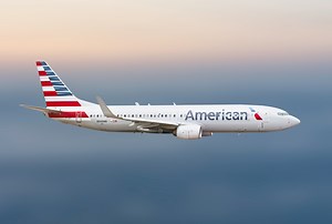 Passengers' Priorities Questioned During Chaotic American Airlines Emergency Evacuation - Travel Noire