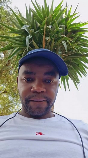 ticks man t on TikTok