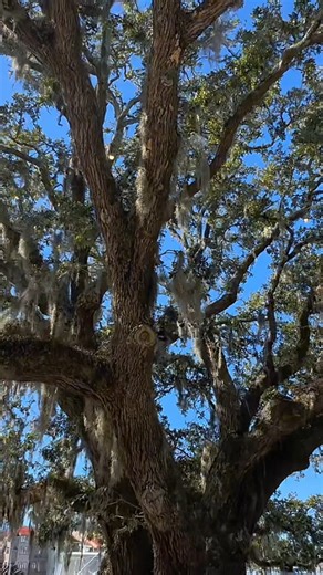 An island icon ⚓ Harbour Town Lighthouse never gets old… first visit or forever favorite? | Spinnaker Resorts