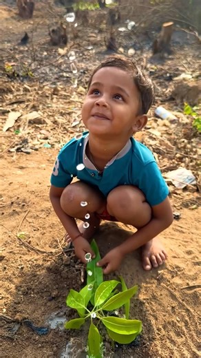 Tom and jerry ❤️🙏Save trees 🌴 #shorts