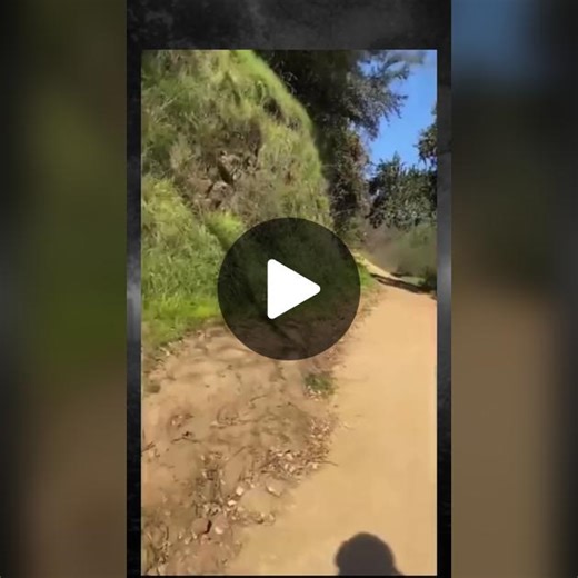 TikTok · Mr.Creeps