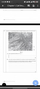 (a) Fig. 1.1 is a transmission electron micrograph showing a se... | Filo