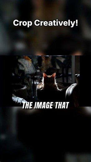 Crop Creatively! Transform your photos instantly!