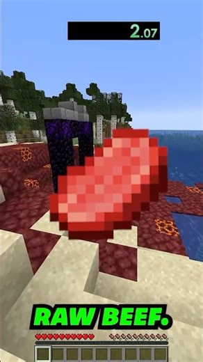 Speedrunning Raw Beef in Minecraft