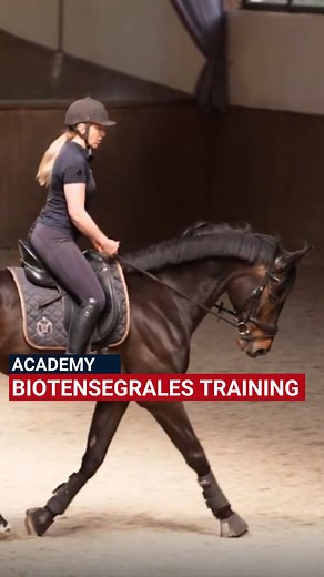 2K views · 339 reactions | Pferde kommunizieren mit uns und wir...