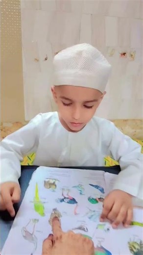 birds name! chapter! Jr kg chapter! LKG portion