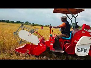 Je récolte mon riz à la mini-moissonneuse-batteuse.